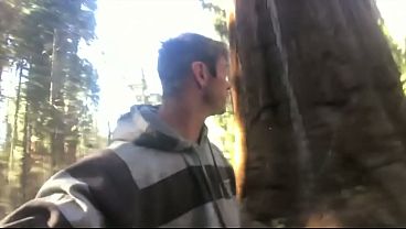 Image Fucking in the Sequoias Trail of the Giants