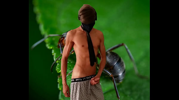 Image Ants in your pants