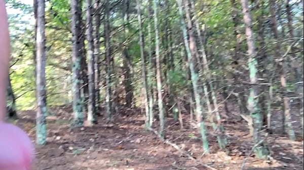 Image Fall is cumming