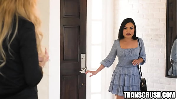Image Tranny realtor is on phone while fucking hot female client