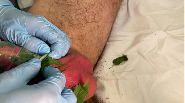 Image Cbt pumped stinging nettles cum