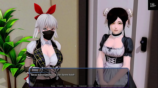 Image Complete Gameplay - Harem Hotel, Part 4