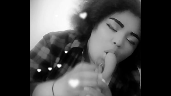 Image Kamora rose on grey and white