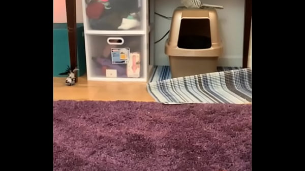 Image PUSSY PLAY BOYS YOU KNOW YOU WANNA SLIDE UR DICK IN THIS WET WET SQUIRTING PUSSY