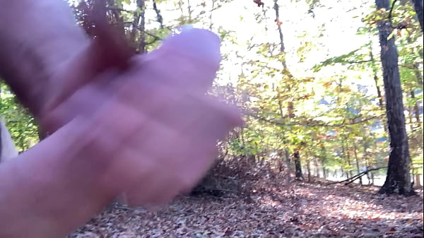Image Woody