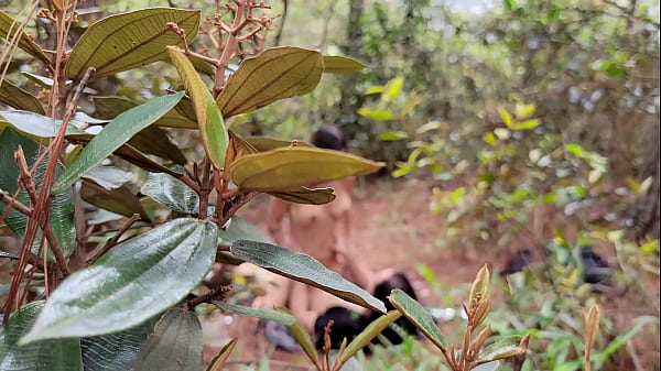 Image Una pareja es pillada teniendo sexo al aire libre en el cerro quitasol