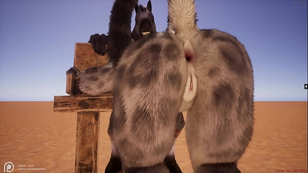 Image Wild Life Furry Hentai