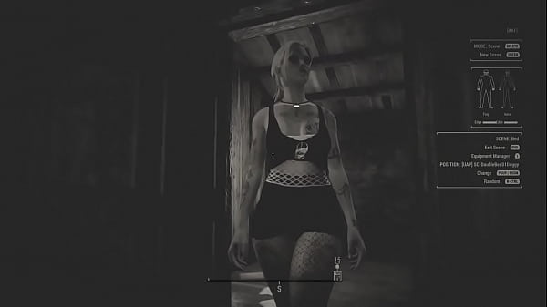 Image Fallout 4 PC game