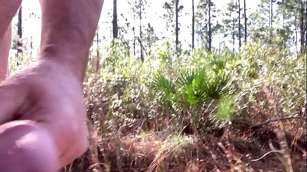 Image Abandoning my clothes on a walk through the woods
