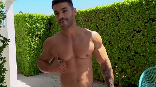Image P trainer for men (Progressive)