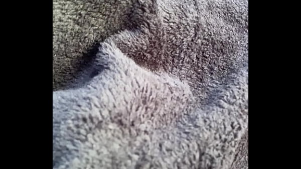 Image paja 01-01-2024