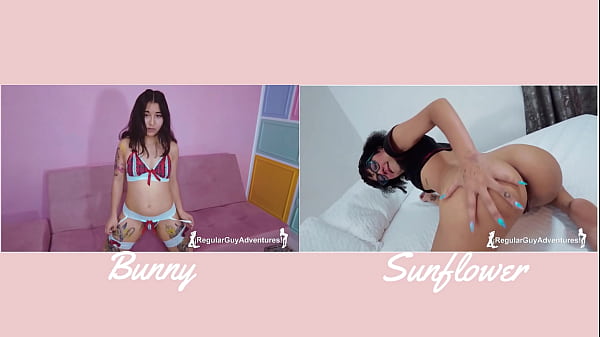 Image VERSUS#3 - BUNNY vs SUNFLOWER