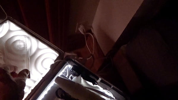 Image Raven Grey gets BDSM electric wand
