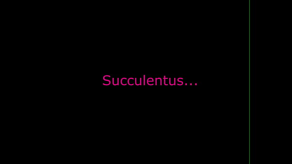 Image Succulentus...