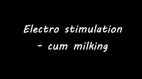 Image Electro stimulation - cum milking