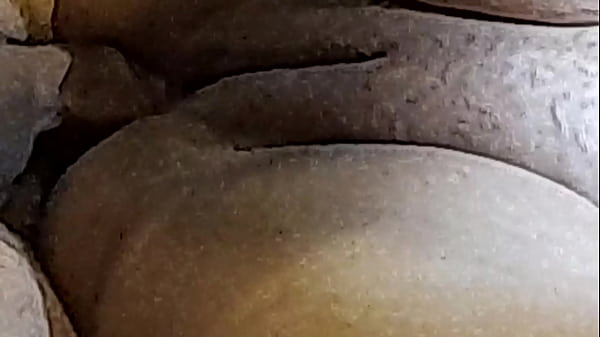 Image Naughty Brazilian couple Pt 9 - Naughty Little Ant