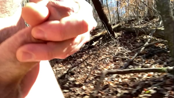 Image Interrupted masturbation