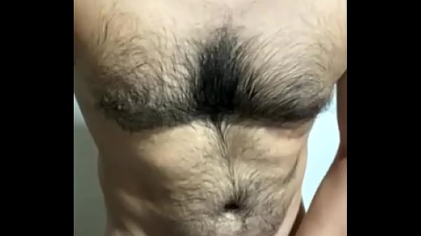 Image URSO GATO E GOSTOSO