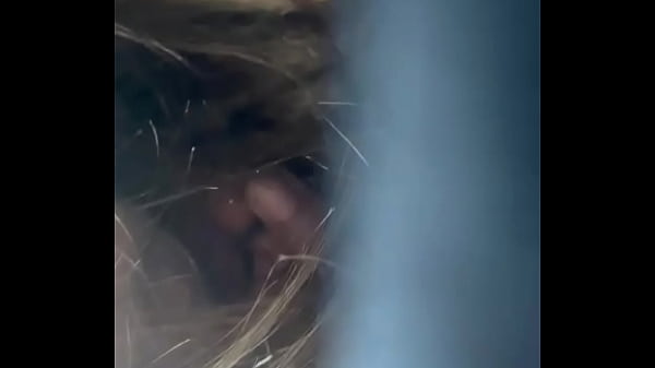 Image Mexican Gf giving blowjob in car