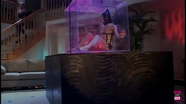 Image A masked girl in a cage watches a foursome in her slave training