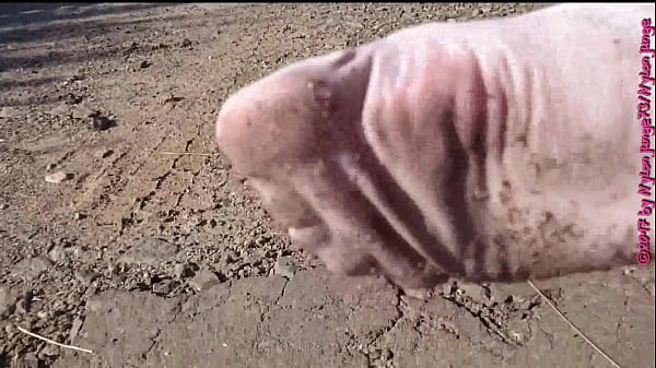 Image Wei&szlig_e Socken in der Pf&uuml_tze
