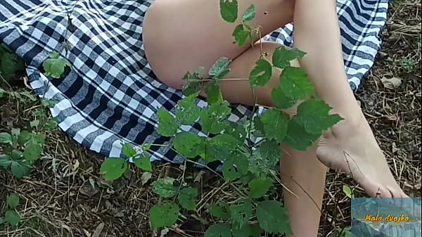 Image That wondrous forest.Mala dvojka