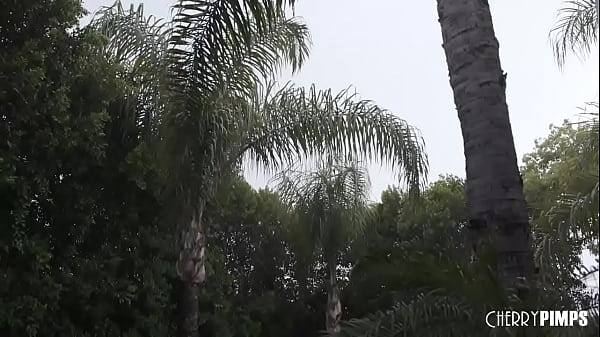 Image Moving Day Leads To Ass Packing Hardcore Anal With Horny Brunette Katrina Colt