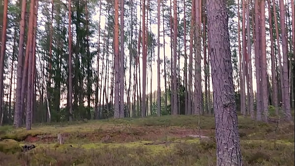 Image Fuck my ass in the woods and cum inside
