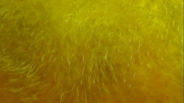 Image Cunnilingus - husband head among spreading legs
