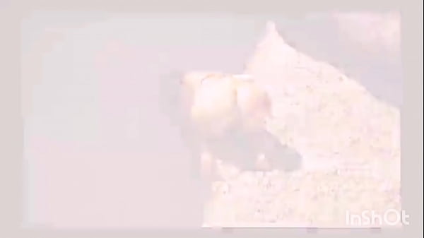 Image Succede che mentre scopo Teresa mi viene voglia di leccare le sue bellissime ascelle come piace tanto al nostro fan