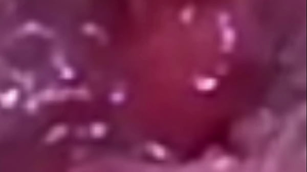 Image Lilyrose came back and trainning her fat ass more extrem