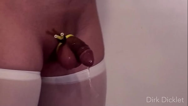 Image Sissy Cock