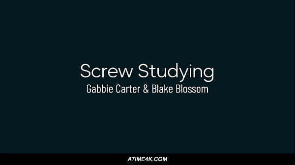 Image Screw Studying