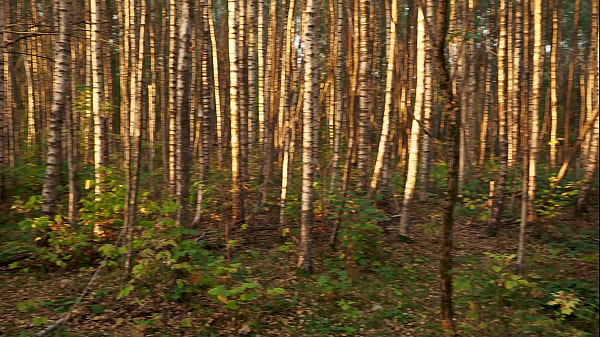 Image Gorgeous brunette anal in the fall woods
