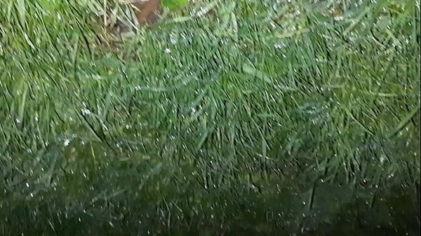Image After a walk, two strangers village girls hotly fucked with dirty talk in the barn - Girls fly orgasm