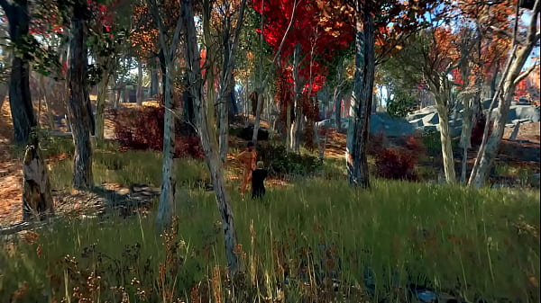 Image In the woods with Stan and Jonathan