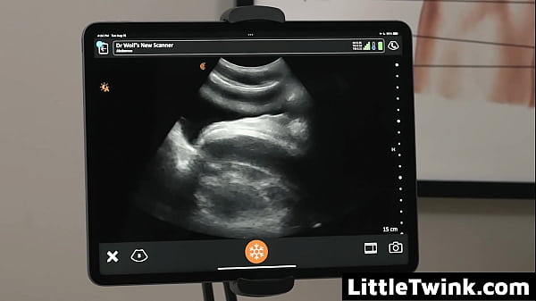 Image Dr. Wolf Always Ensures that His Patients Know that He Has an Open Door - Littletwink
