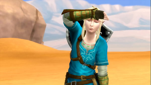 Image Legend Of Zelda 2 - Link Gets Lost In The Desert