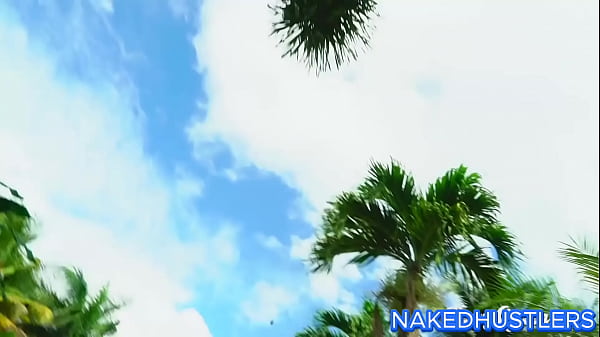Image 2 PAWG HUGE BOOTY SLUTS Fuck Themselves in MIAMI