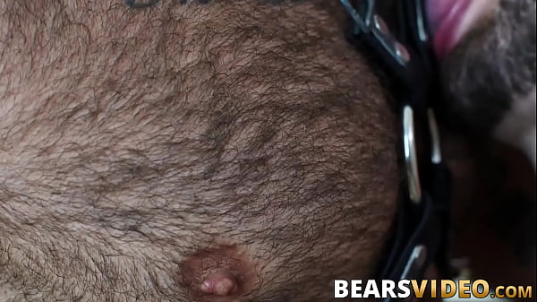 Image Inked bear Atlas Grant hard bareback banging chubby gay