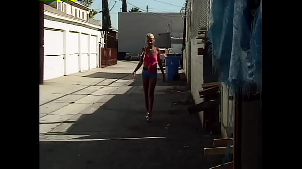 Image South Central Hookers (Volume #22, Scene #1)