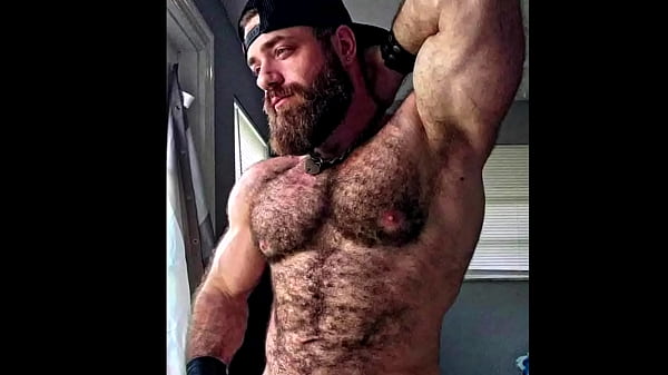 Image TOXIC MASCULINITY 1: P. TRAINER