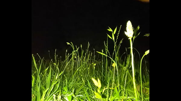Image Dildo in nature! My ass seems to be happy, and it's good to peck!