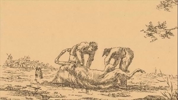 Image vintage erotic illustration