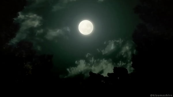Image TREINAMENTO DE SHINOBU