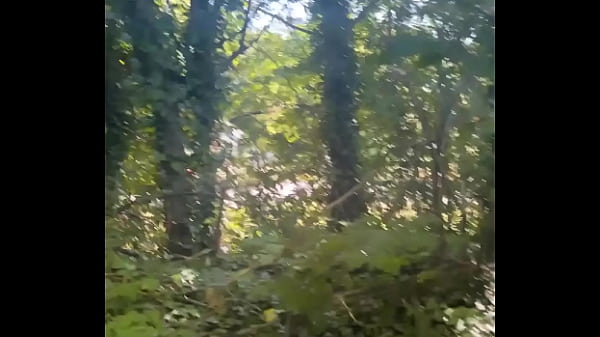 Image Chastity Femboy Public Buttplug Walk & Anal Orgasms in The Woods Multiple Cumshots