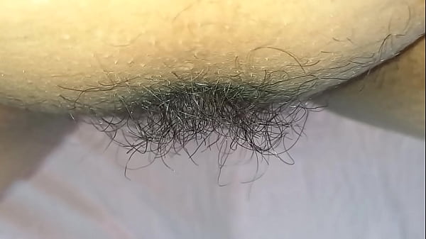 Image Hairy pussy