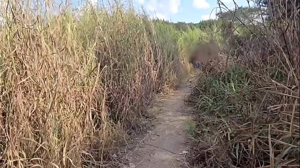Image Um cara com uma bunda grande dando o cu nas trilhas na floresta, onde homens costumam caminhar. Muitos desses homens ficaram excitados ao ver v&aacute_rios homens comendo a bunda do cara ao ar livre sem cam
