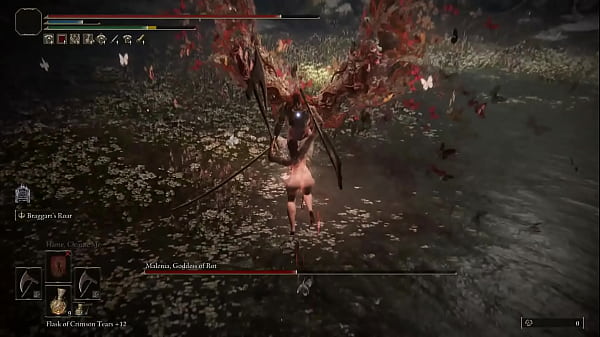 Image I solo'd malenia but had a nude mod on so i couldn't upload it anywhere else