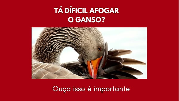 Image SEU PRECOCE! D&uacute_vido aguentar 3 Minutos vendo essas mulheres LATINAS E MUITO GOSTOSAS!